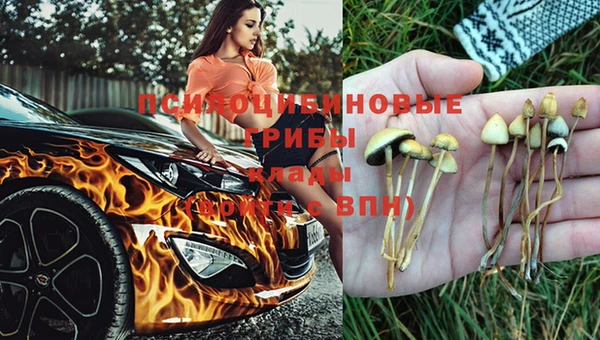 не бодяженный Алзамай